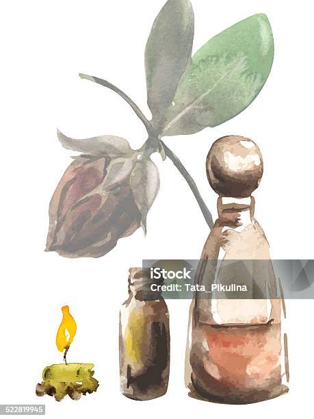 Jojoba Aromatherapy Set Stock Illustration - Download Image Now - Jojoba, Essential Oil, Illustration
