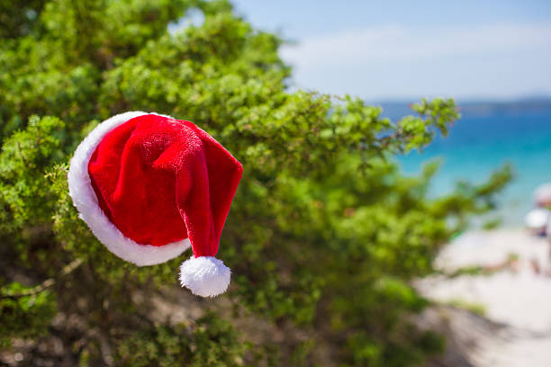 istock Santa hat on spruce bush background the turquoise sea 522820165