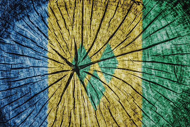 istock flag of  Saint Vincent and the Grenadines 522820617