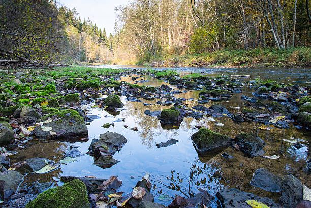 istock mountain river with rocks and sandstones 522836147