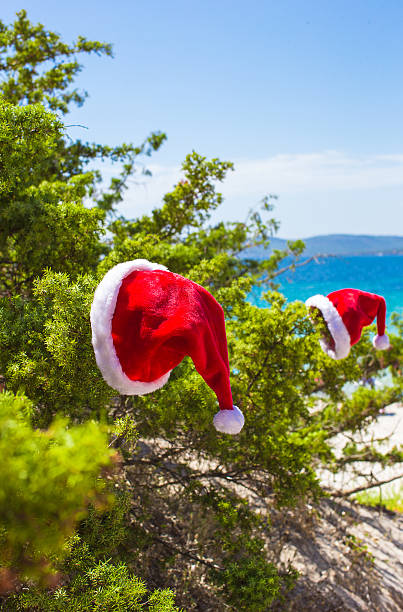 istock Santa hat on spruce bush background the turquoise sea 522838907