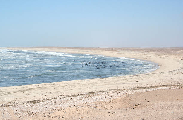 istock Endless wild Skeleton Coast, Namibia, Africa 522839297