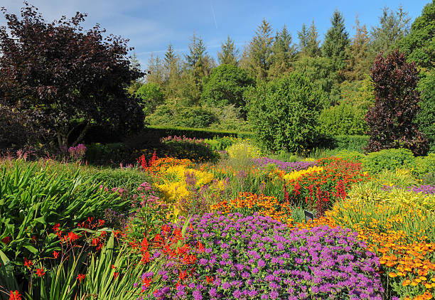 istock Country Cottage Garden in Summer, Devon, England, UK 522849628