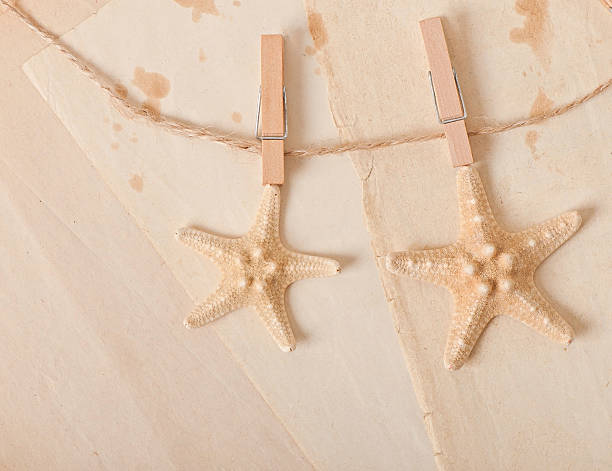 istock starfish and rope on old paper background 522850121
