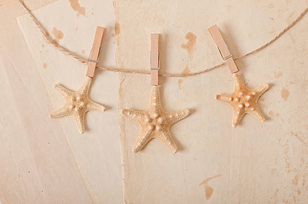 istock starfish and rope on old paper background 522850211