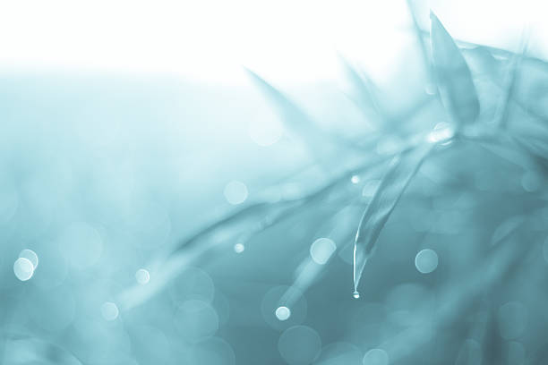 istock Twinkling lights blurred natural bokeh. Blur picture and soft co 522850740