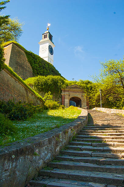 istock The Clock Tower Novi Sad 522851656