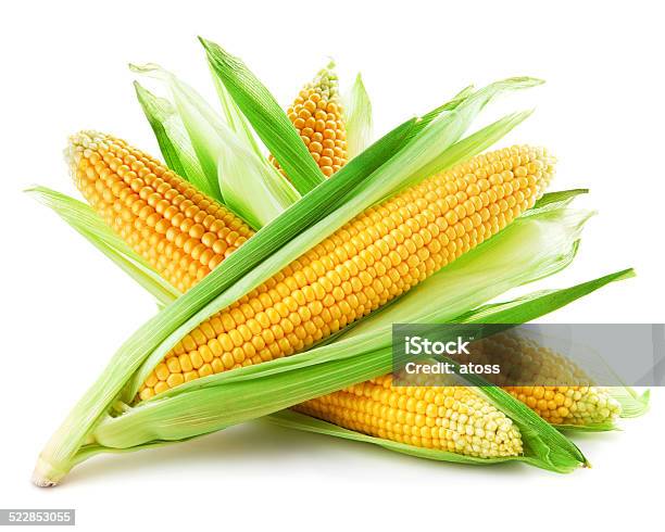 Corn Stock Photo - Download Image Now - Cereal Plant, Corn, Corn - Crop