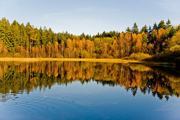 lake lake in the Odenwald near Strümpfelbrunn in Germany odenwald photos stock pictures, royalty-free photos & images
