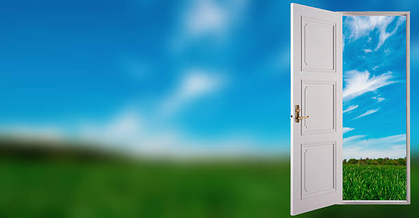istock Door to paradise (green grass with blue sky) 522855292