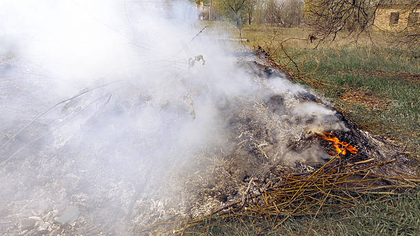 istock Burning grass foliage heap with heavy dense smoke 522861190