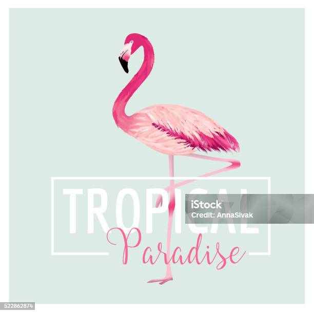 Oiseau Tropical Flamingoplan Teeshirt Dété Vecteurs libres de droits et plus d'images vectorielles de Flamant - Flamant, Procédé d'impression, T-Shirt