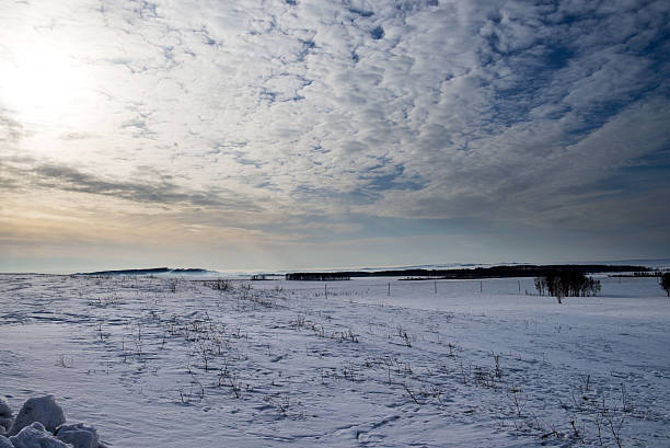 istock Spring in the steppes of Southern Urals. 522864888