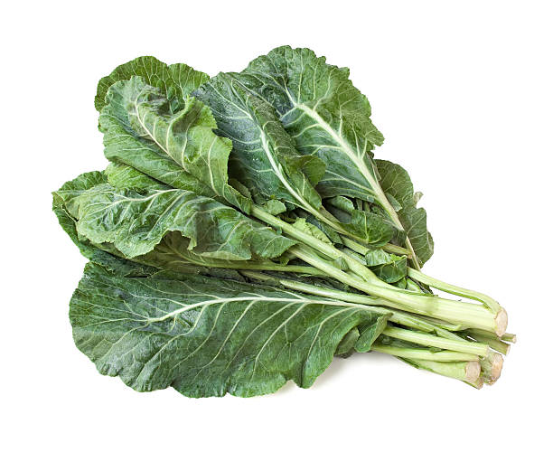 40,000+ Free Collard Greens & Nature Images - Pixabay