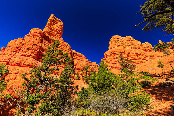 Unique vermilion-colored rock formation and stands of Ponderosa pines make the canyon exceptionally scenic.