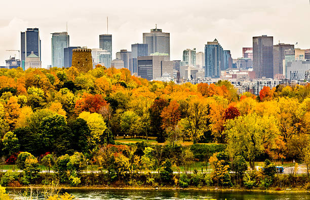 Montreal downtown in the autumn Montreal downtown skyscrapers in autumn montréal photos stock pictures, royalty-free photos & images