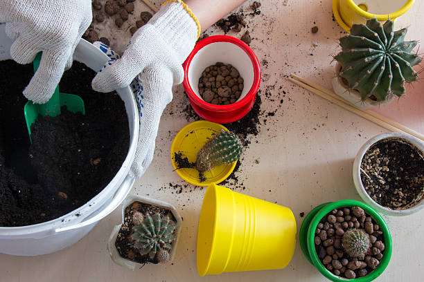 istock hands nabiraeyut shovel earth view from above 522868150