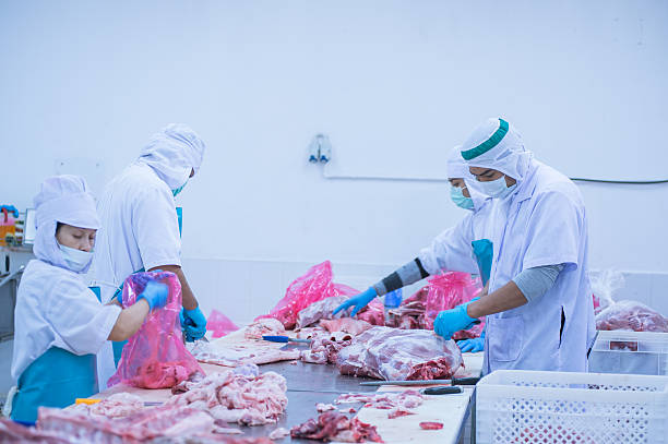 istock cutting meat slaughterhouse workers in the factory 522869080