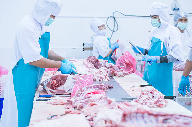 istock cutting meat slaughterhouse workers in the factory 522869576