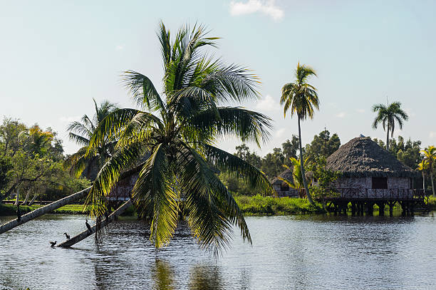 Houses over pillars with palm tree growing from water at a Black lake in the Cuban village of Guama, Cuba