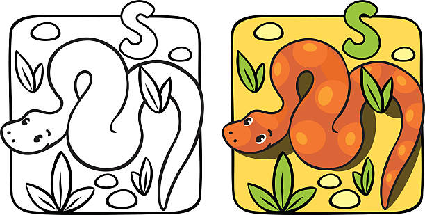 mały wąż kolorowanka.  alfabet s - snake animal young animal crawling stock illustrations