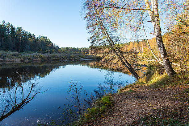 istock autumn colored tourism trail in the woods 522870835
