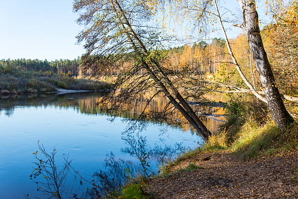 istock scenic autumn colored river in country 522870843