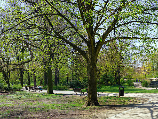 istock Peaceful park in the city 522871666