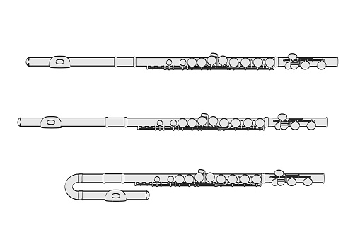 2d cartoon illustration of flutes