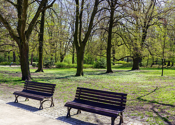 istock Peaceful park in the city 522872784