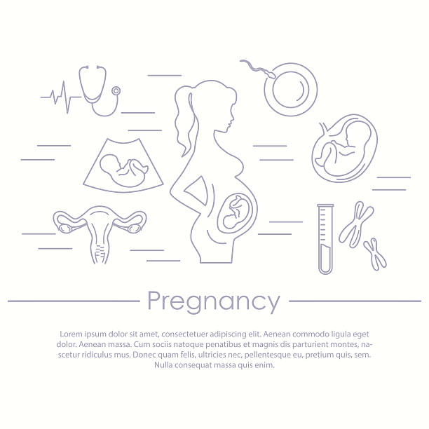 illustrazioni stock, clip art, cartoni animati e icone di tendenza di medicina e la gravidanza vettoriale icona linea - human pregnancy obgyn women child