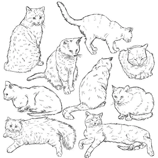 Vector illustration of Vector Set of Sketch Cats
