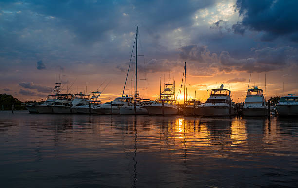 port de plaisance de miami - yacht florida yachting nautical vessel photos et images de collection