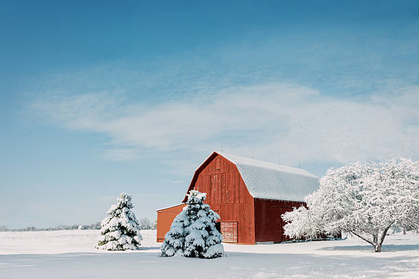 Red Barn With Snow A rustic red Ohio barn covered in fresh snow with a bright blue sky background. midwest usa stock pictures, royalty-free photos & images