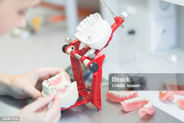 Prosthodontic Lab Focus On Dentures Stock Photo - Download Image Now - Dentures, Part Of, Dental Implant