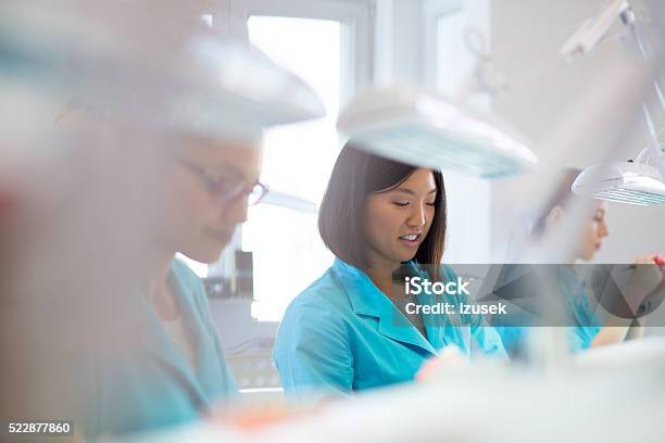 Female Students Learning Prosthetic Dentistry Stock Photo - Download Image Now - Adult, Asian and Indian Ethnicities, Busy
