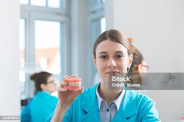 Female Students Learning Prosthetic Dentistry Stock Photo - Download Image Now - Education, Technician, Dentist