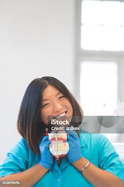 Happy Asian Student Holding Denture Stock Photo - Download Image Now - Asian and Indian Ethnicities, Dentist, Adult