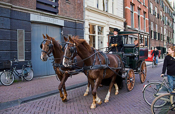 Amsterdam, Holland - November 12, 2015: Horse and wagon carrying tourists in a street in old Amsterdam on November 12, 2015 in Amsterdam, Holland.