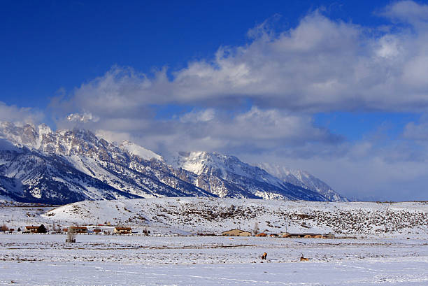 istock Grand Tetons view from Elk Refuge 522879162