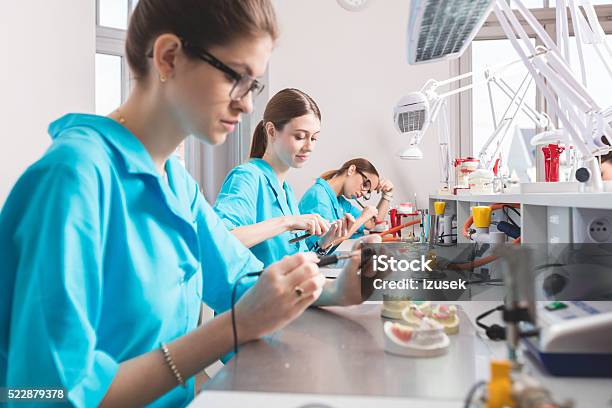 Female Students Learning Prosthetic Dentistry Stock Photo - Download Image Now - Laboratory, Dental Equipment, Dental Health