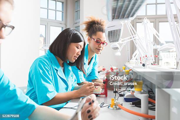 Multi Ethnic Female Students Learning Prosthetic Dentistry Stock Photo - Download Image Now