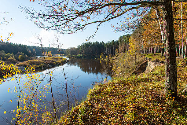 istock scenic autumn colored river in country 522887179