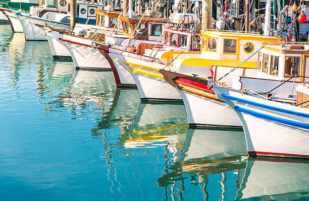 bunten segelboote am fisherman's wharf in san francisco bay - marina nautical vessel sailboat harbor stock-fotos und bilder