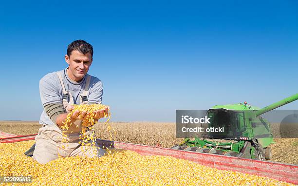 Foto de Feliz Sorrindo Durante A Colheita De Milho De Milho Agricultor e mais fotos de stock de Analisar