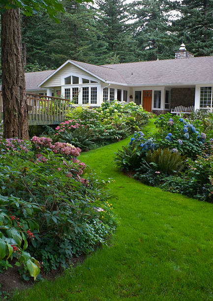 home surounded by Hydrangea gardens stock photo