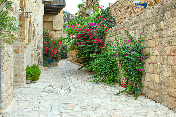 istock Typical alley in Jaffa, Tel Aviv 522896619
