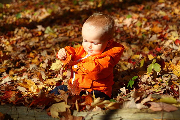 istock Baby boy playing with yellow leaves and smiling 522897137