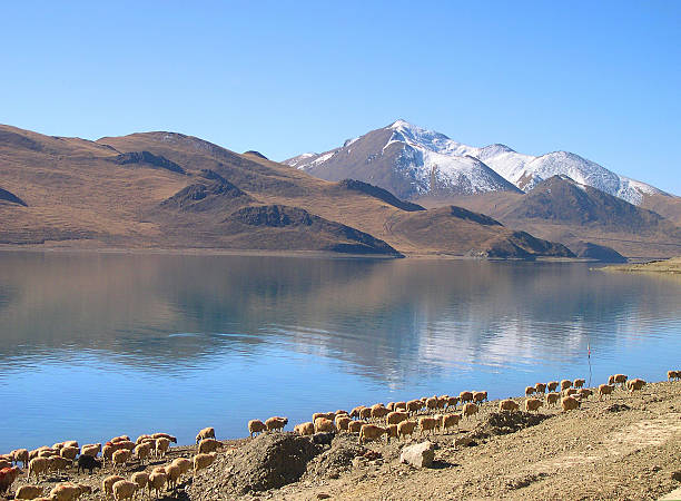 istock Tibet, China:  Yamdrok, Yumtso lake, 522897563