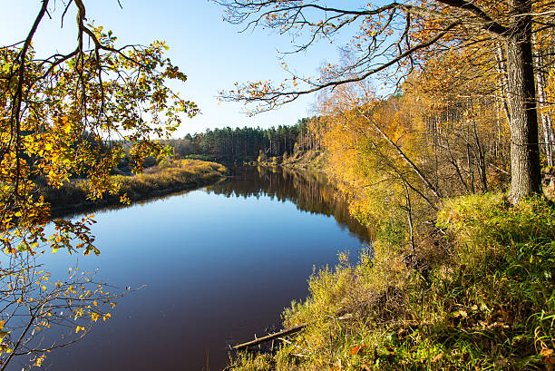 istock scenic autumn colored river in country 522897807